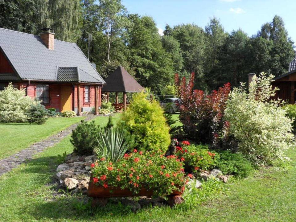 فيلا Gajowka Sajczyce - Gospodarstwo Agroturystyczne Chełm المظهر الخارجي الصورة